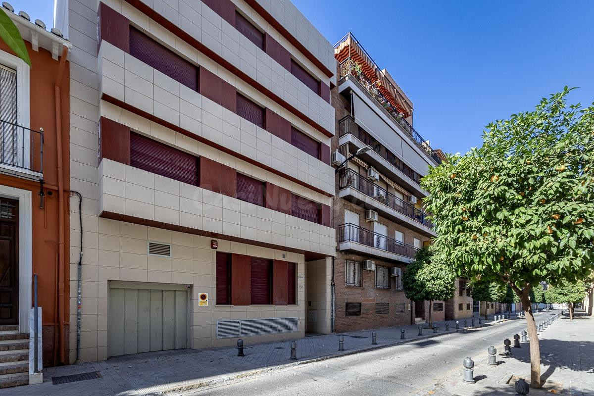 Ático dúplex junto Alhamar con 2 garajes y 2 trasteros - foto 34