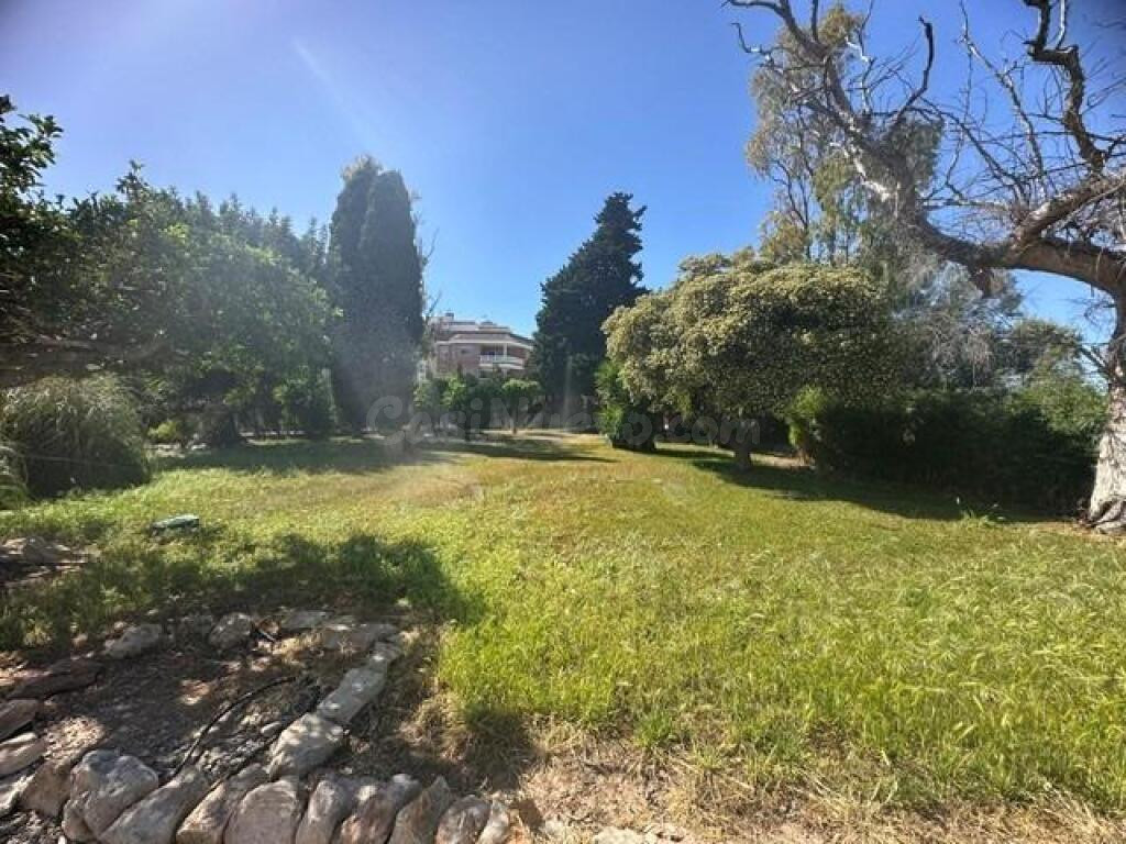 Emblemática finca en la Rápita - foto 15