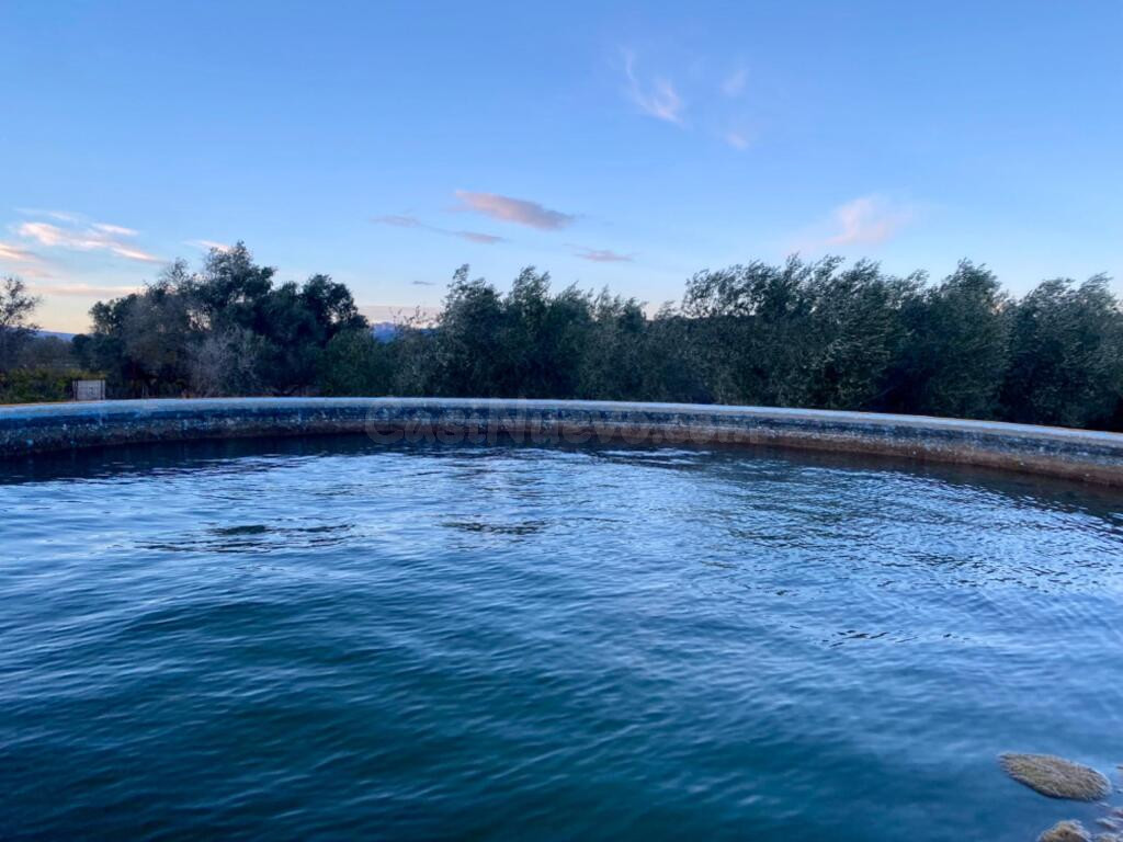 Encantador terreno con agua y luz de 1,2 ha - foto 4