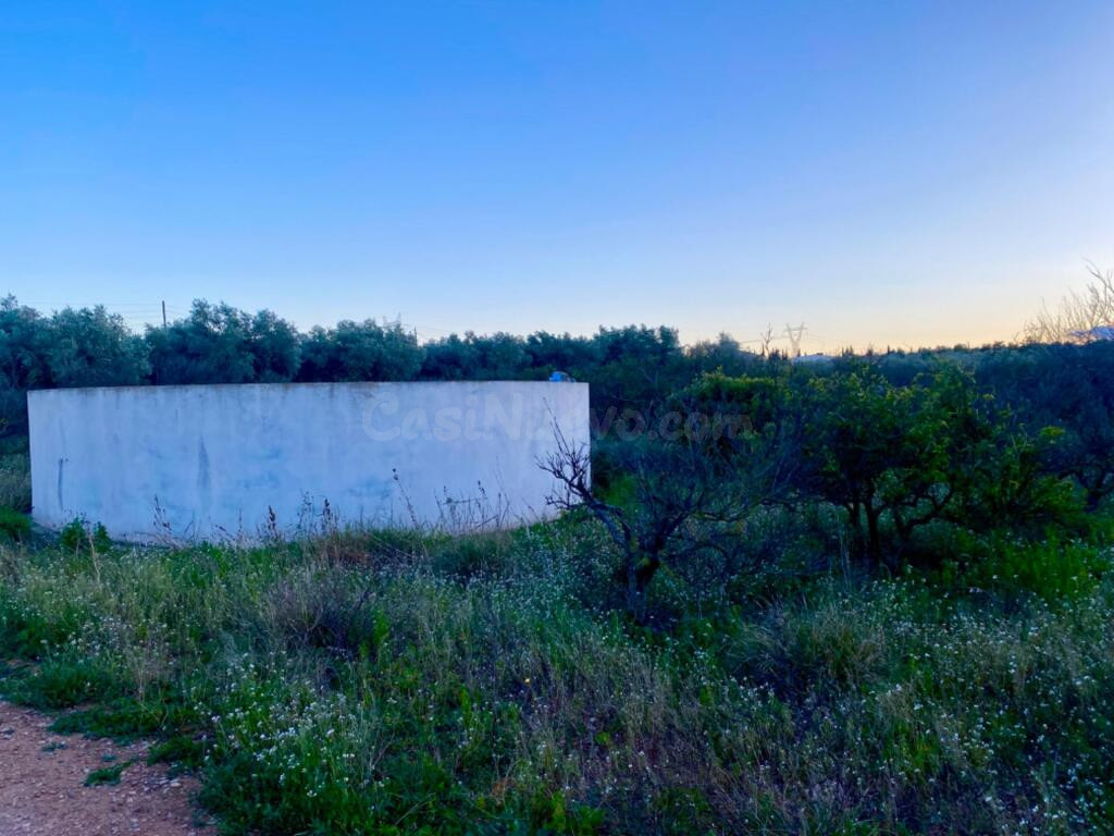 Encantador terreno con agua y luz de 1,2 ha - foto 5