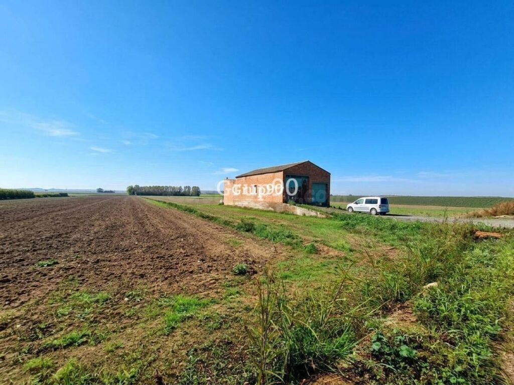 ? Finca de regadío con gran potencial en Alcoletge (Lleida) - foto 2