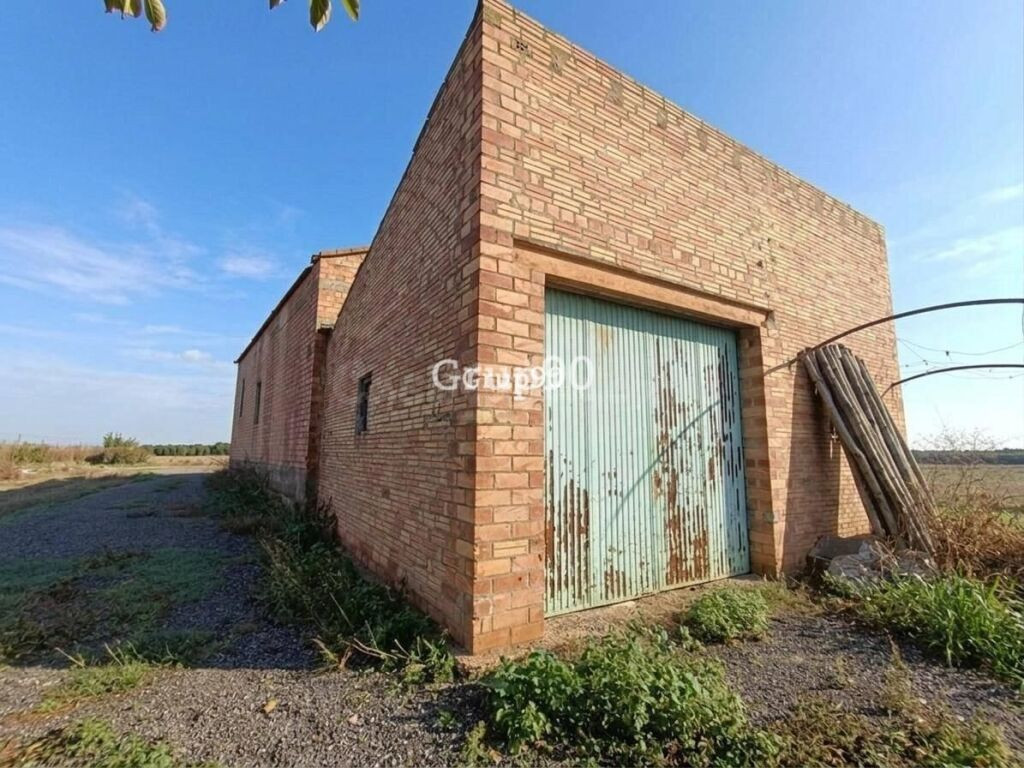 ? Finca de regadío con gran potencial en Alcoletge (Lleida) - foto 5