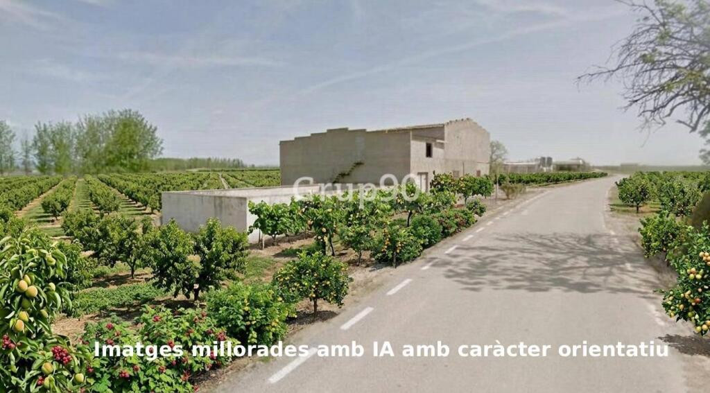 ? Finca de regadío con gran potencial en Alcoletge (Lleida) - foto 4