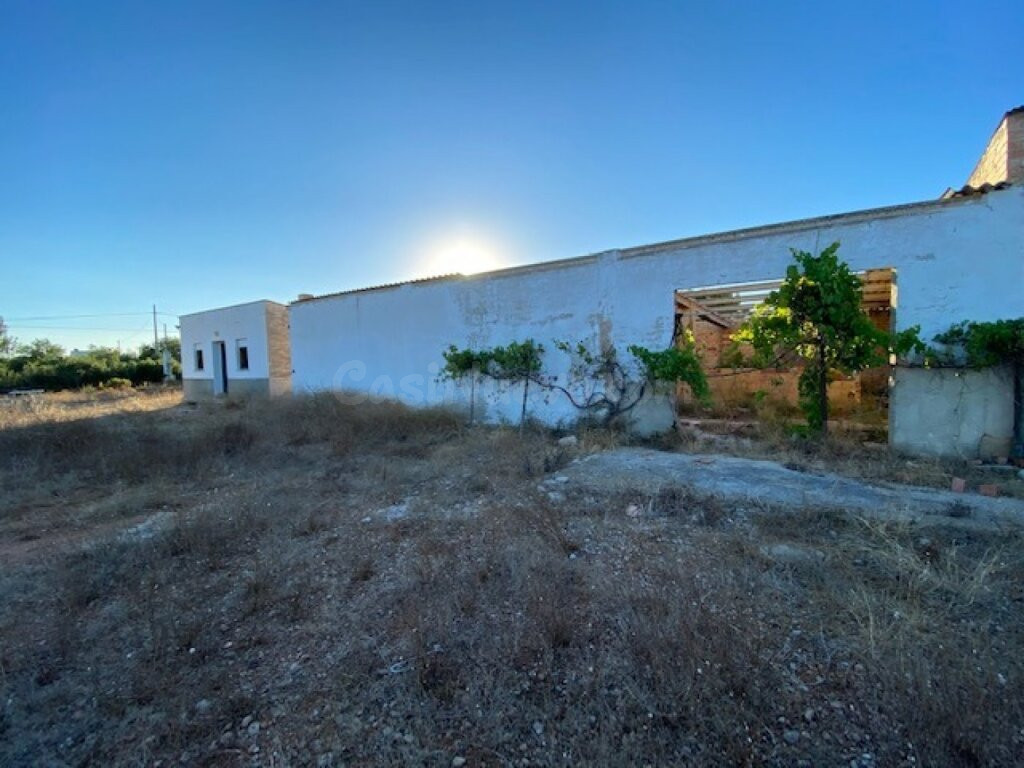 Fantástica finca a 1,5 km del mar en l'Ampolla - foto 3
