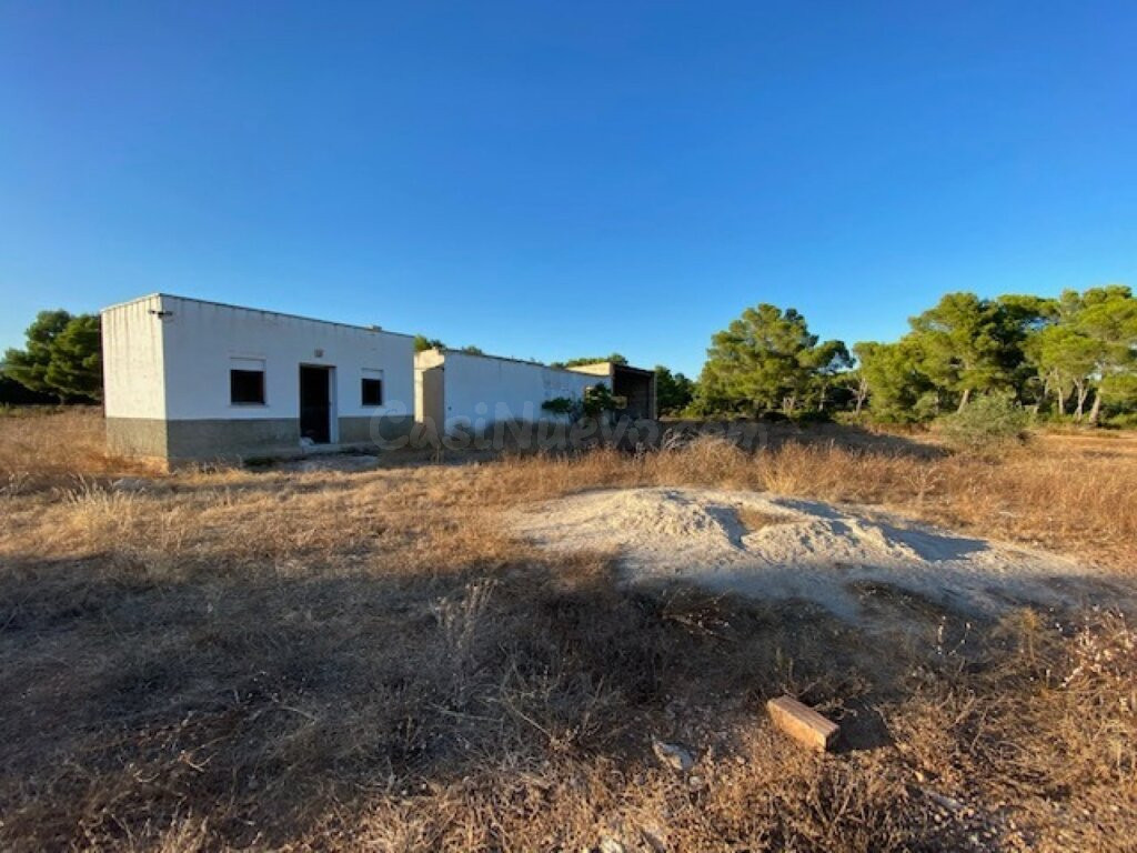 Fantástica finca a 1,5 km del mar en l'Ampolla - foto 5