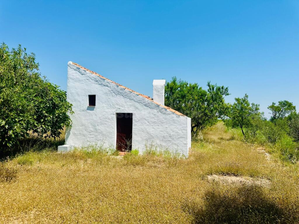 Ídilica casa de labor en finca de Almendros - foto 2