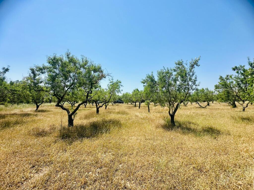 Ídilica casa de labor en finca de Almendros - foto 15