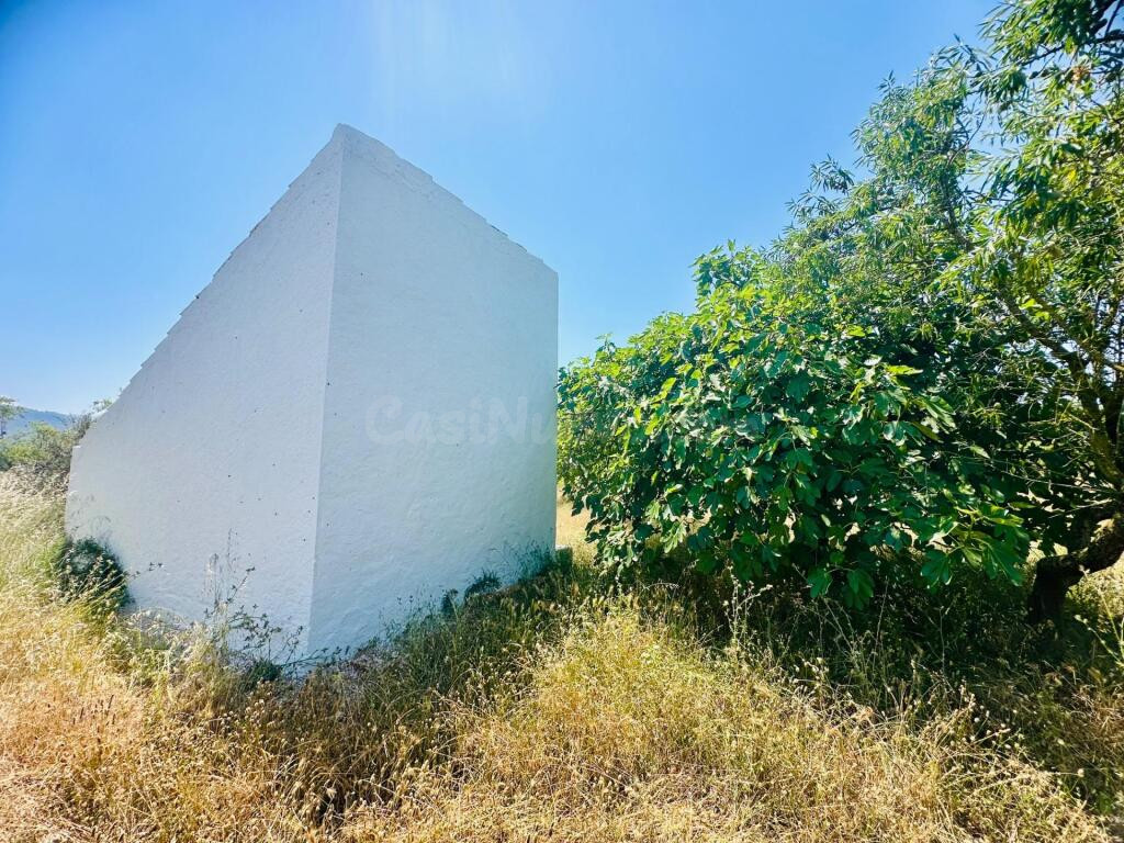 Ídilica casa de labor en finca de Almendros - foto 3