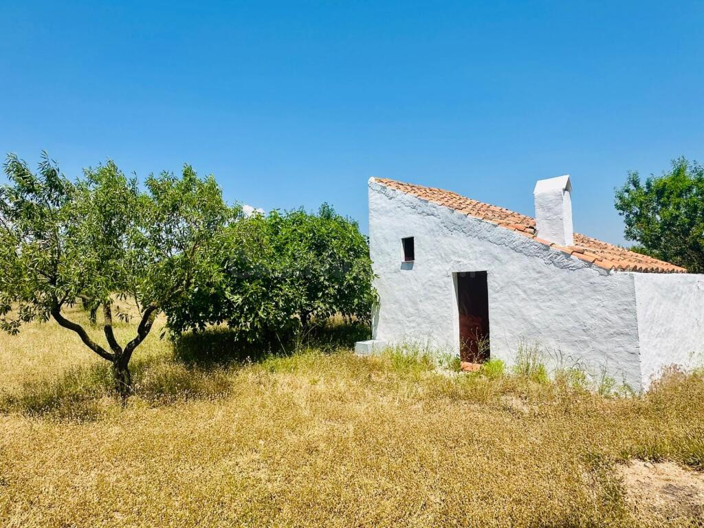 Ídilica casa de labor en finca de Almendros - foto 4