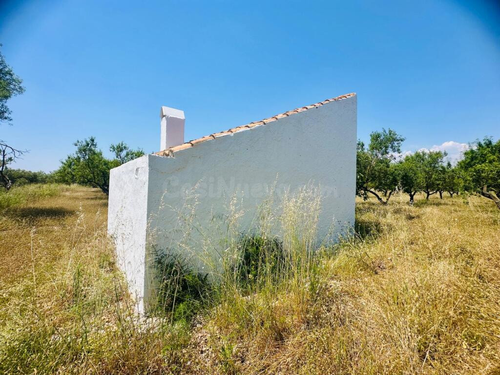 Ídilica casa de labor en finca de Almendros - foto 5
