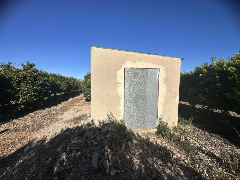Finca de regadío plantada de cítrico en Santa Bárbara - foto 5