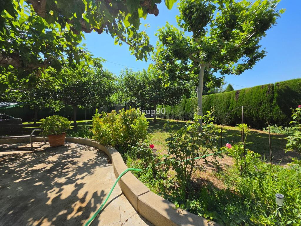 ? GRAN FINCA CON XALET, NAVE Y AMPLIA PARCELA – MÚLTIPLES PO - foto 3