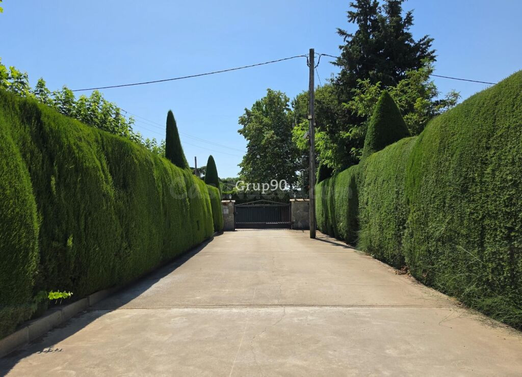 ? GRAN FINCA CON XALET, NAVE Y AMPLIA PARCELA – MÚLTIPLES PO - foto 57