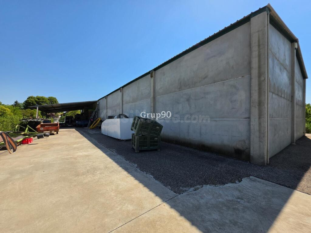 ? GRAN FINCA CON XALET, NAVE Y AMPLIA PARCELA – MÚLTIPLES PO - foto 64