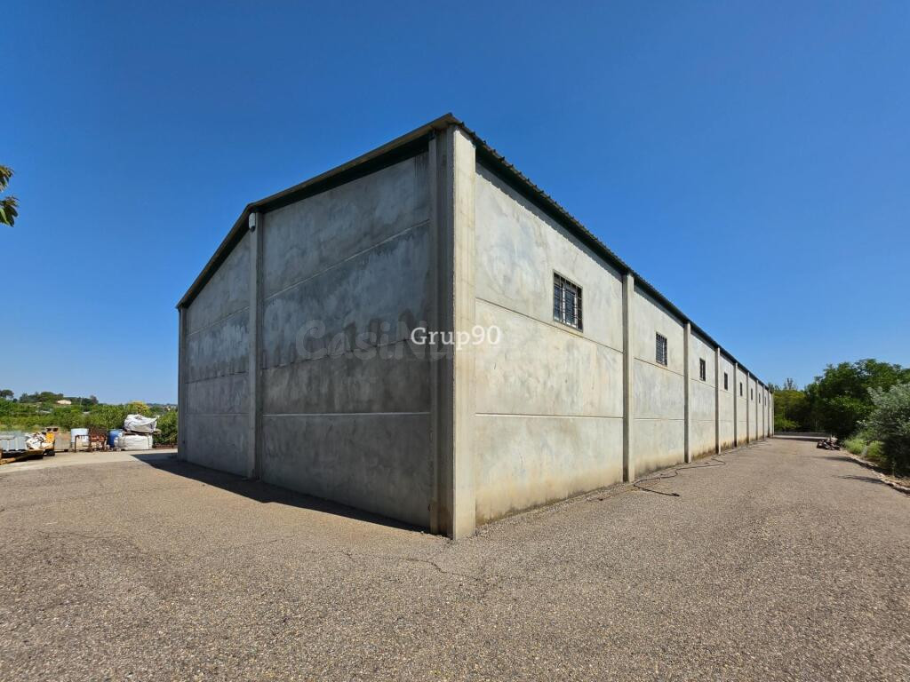 ? GRAN FINCA CON XALET, NAVE Y AMPLIA PARCELA – MÚLTIPLES PO - foto 65