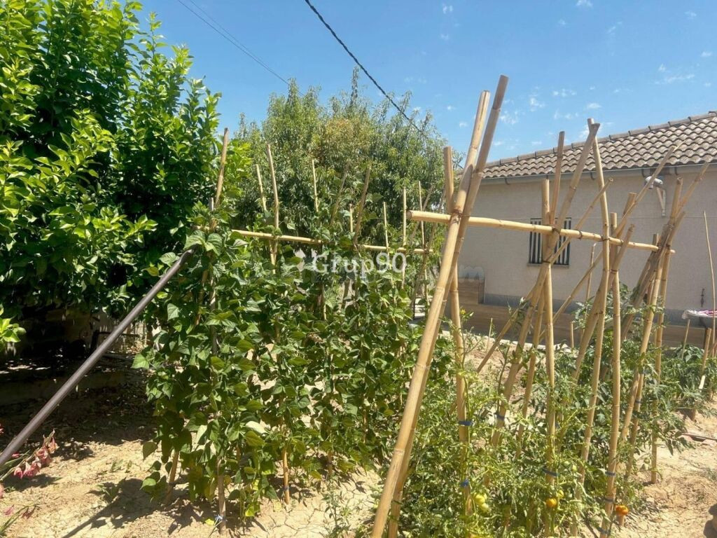 ? Casa con gran parcela en venta en Alcoletge – Espacio, nat - foto 29
