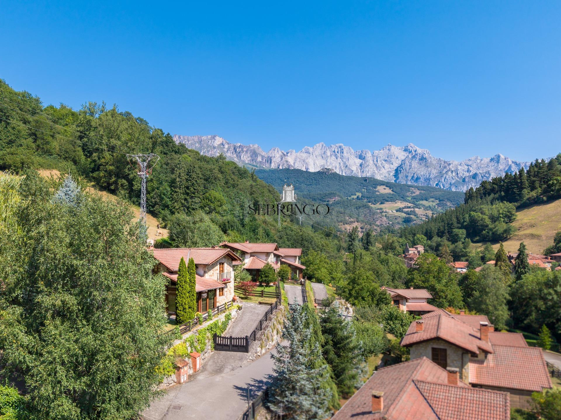VENTA DE NUDA PROPIEDAD | VIVIENDA UNIFAMILIAR EN COSGAYA, L - foto 3