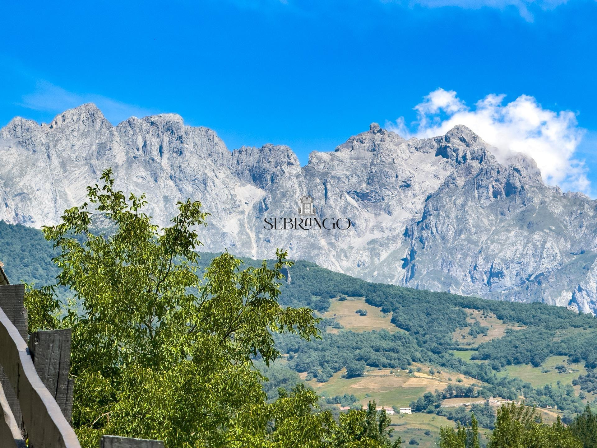 VENTA DE NUDA PROPIEDAD | VIVIENDA UNIFAMILIAR EN COSGAYA, L - foto 24