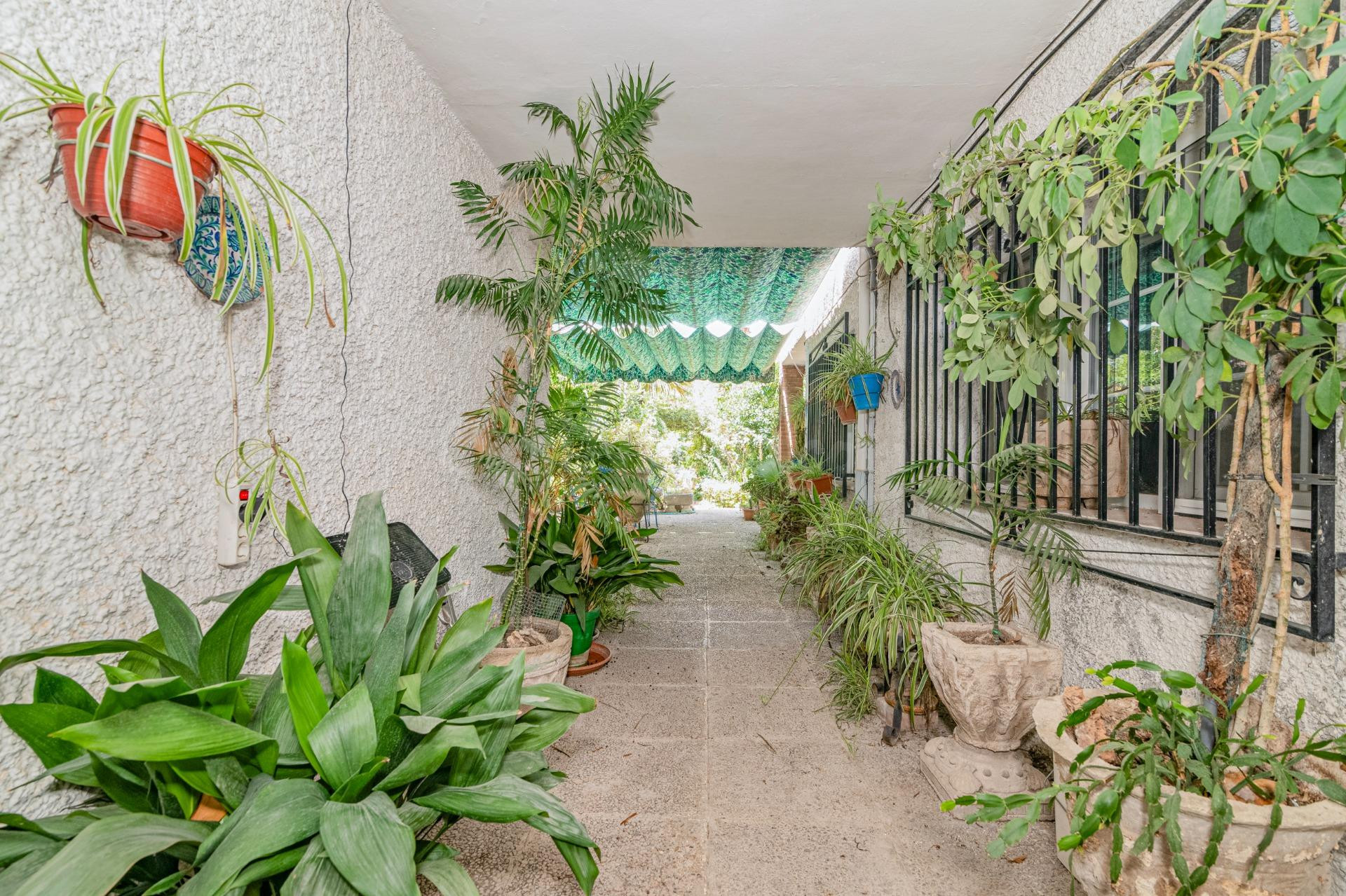 El jardín que siempre soñaste, ahora en Granada capital.