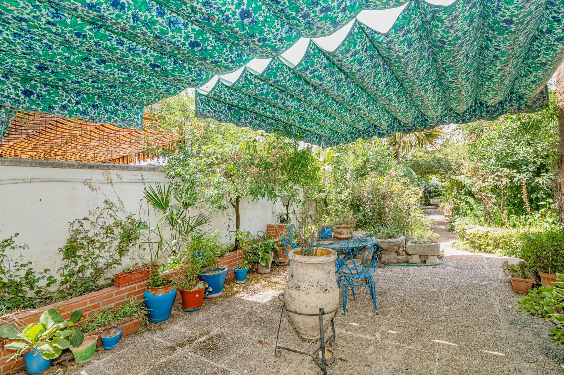 El jardín que siempre soñaste, ahora en Granada capital. - foto 2