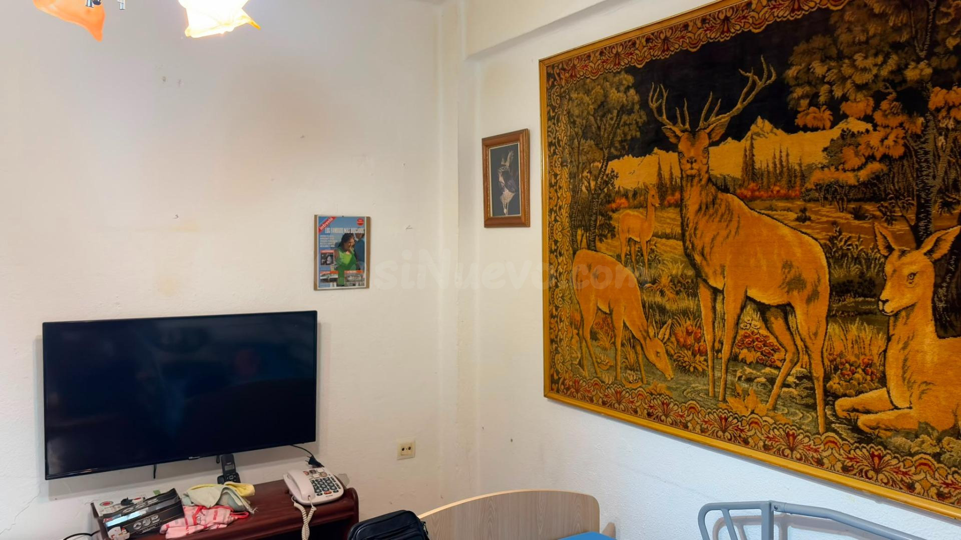 Vivienda en Planta Baja, zona de Cobreros - San Fernando - foto 11