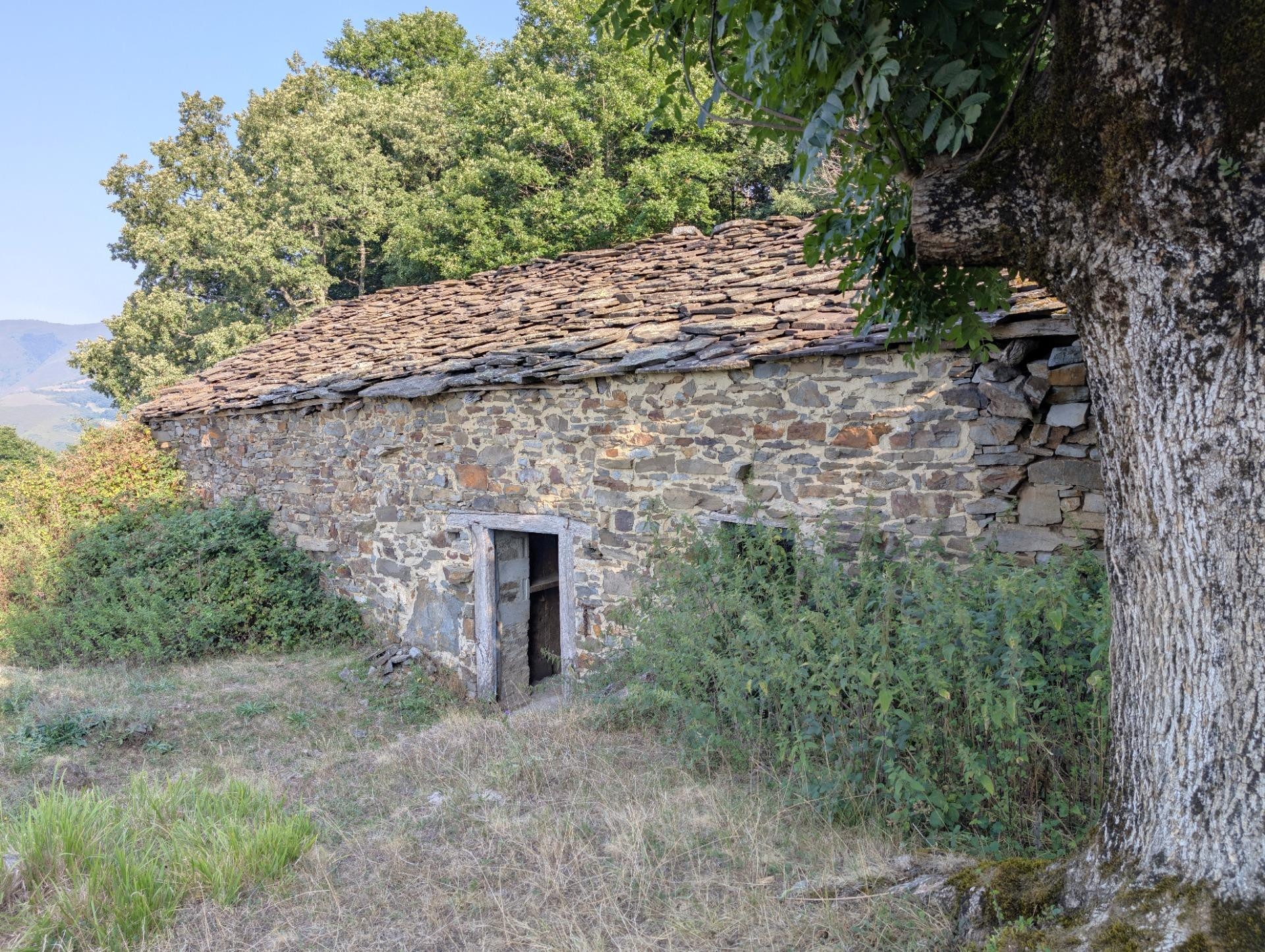 ESPECTACULAR FINCA RUSTICA CON CUADRA TRADICCIONAL - foto 2