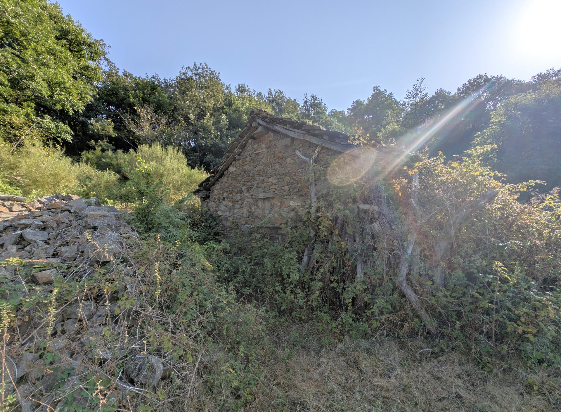 ESPECTACULAR FINCA RUSTICA CON CUADRA TRADICCIONAL - foto 4