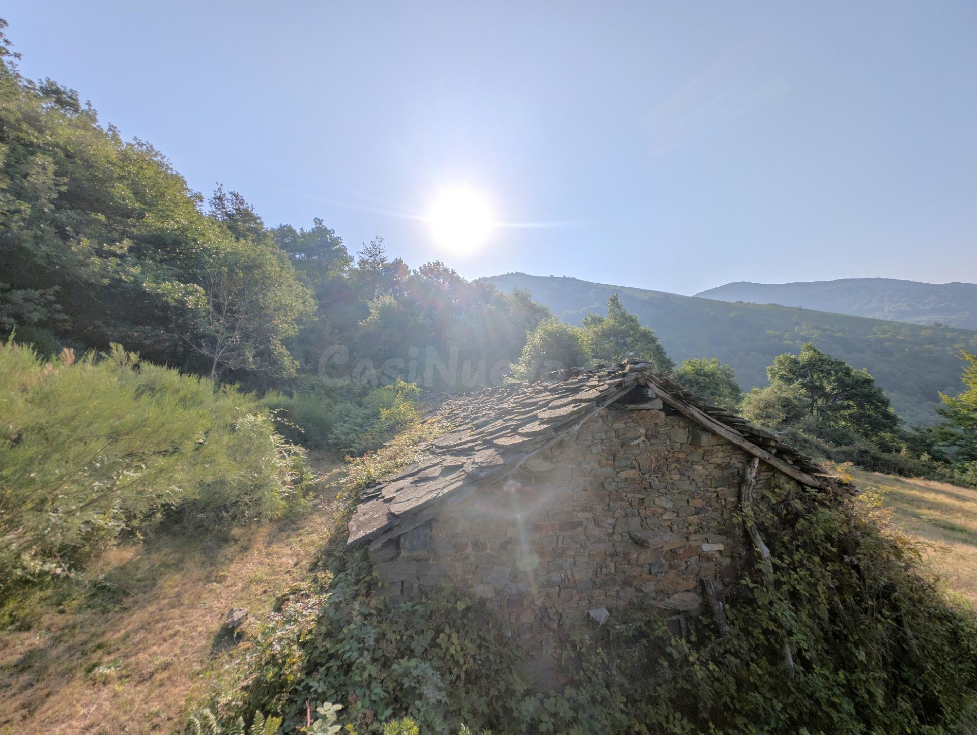 ESPECTACULAR FINCA RUSTICA CON CUADRA TRADICCIONAL - foto 5