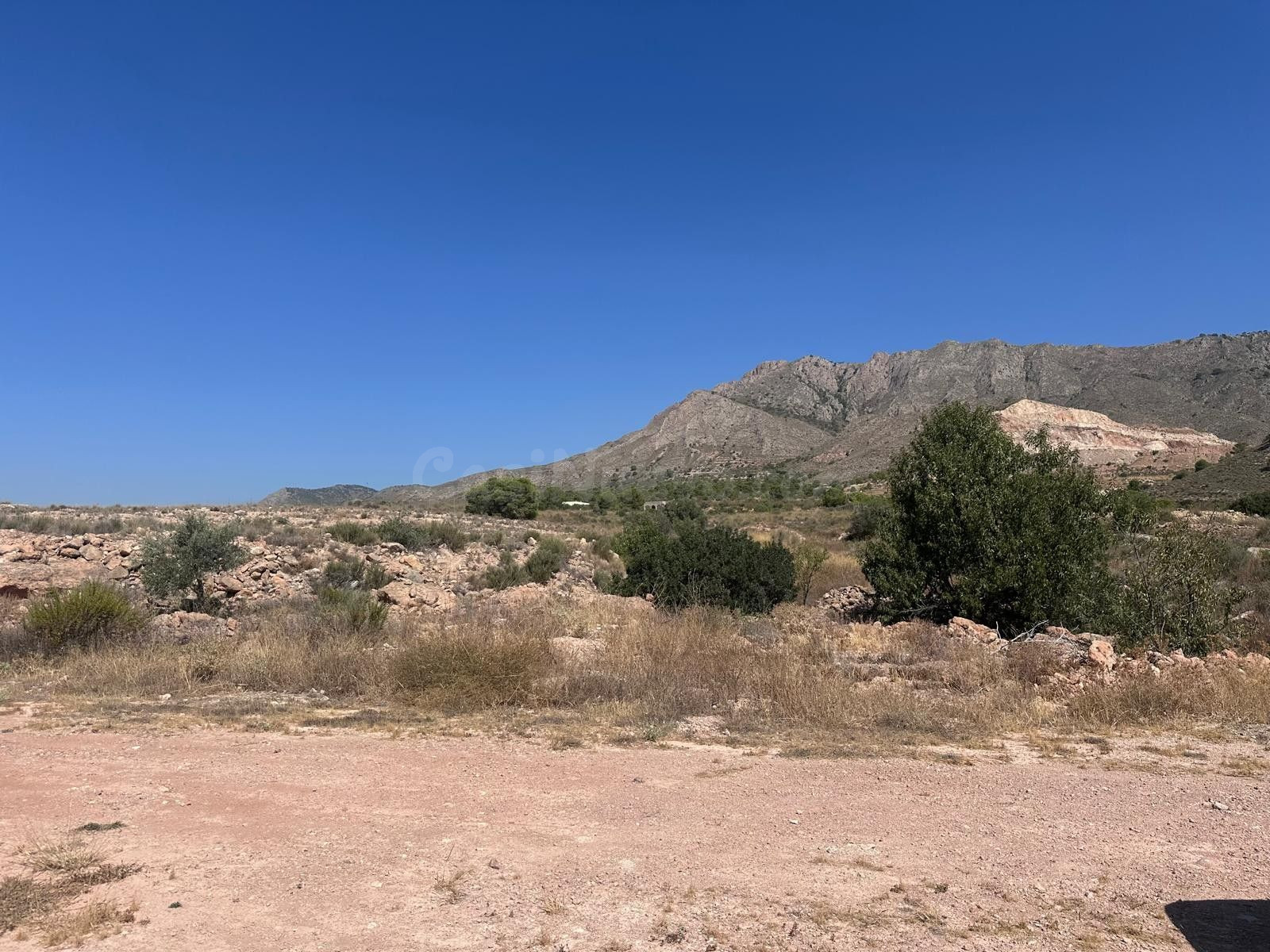 Parcela en venta - Macisvenda - foto 5