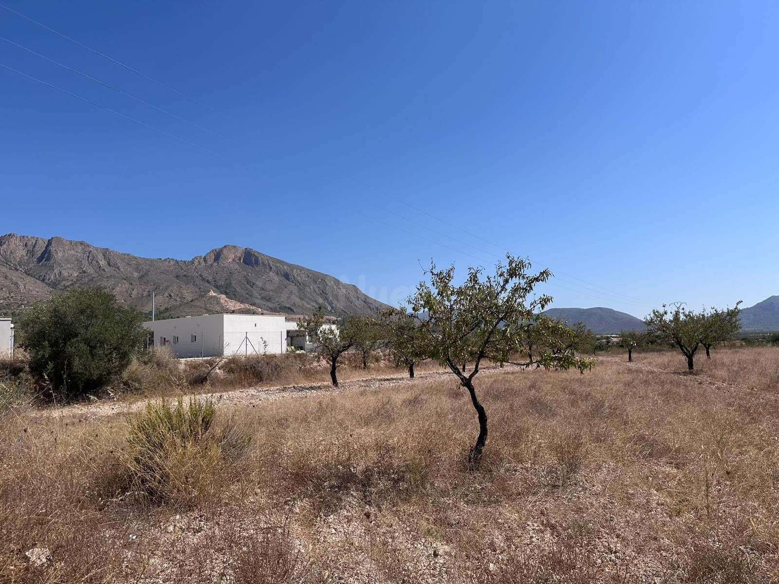 Parcela en venta - Macisvenda - foto 2