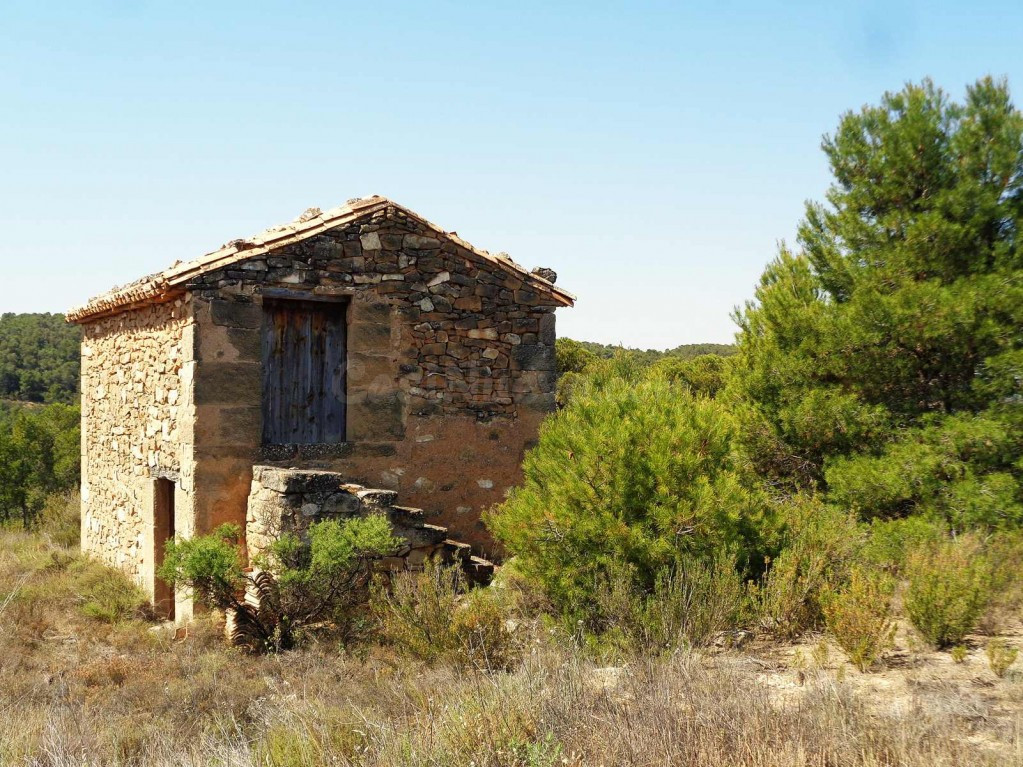 Suelo rústico en Venta en Maella Zaragoza
