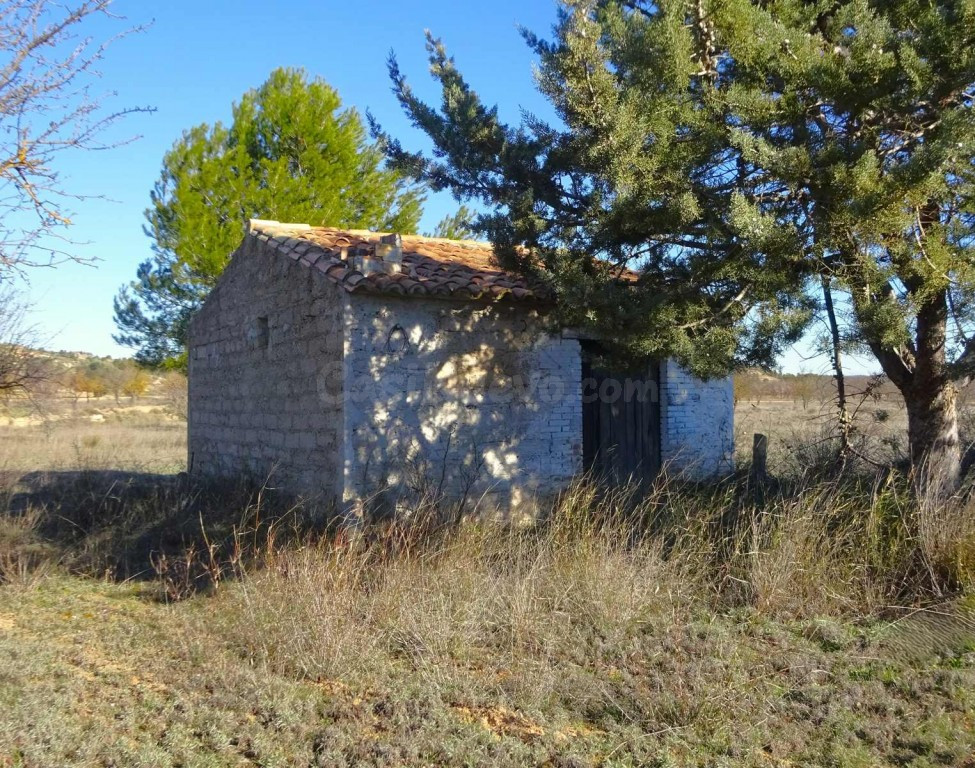 Suelo rústico en Venta en Maella Zaragoza