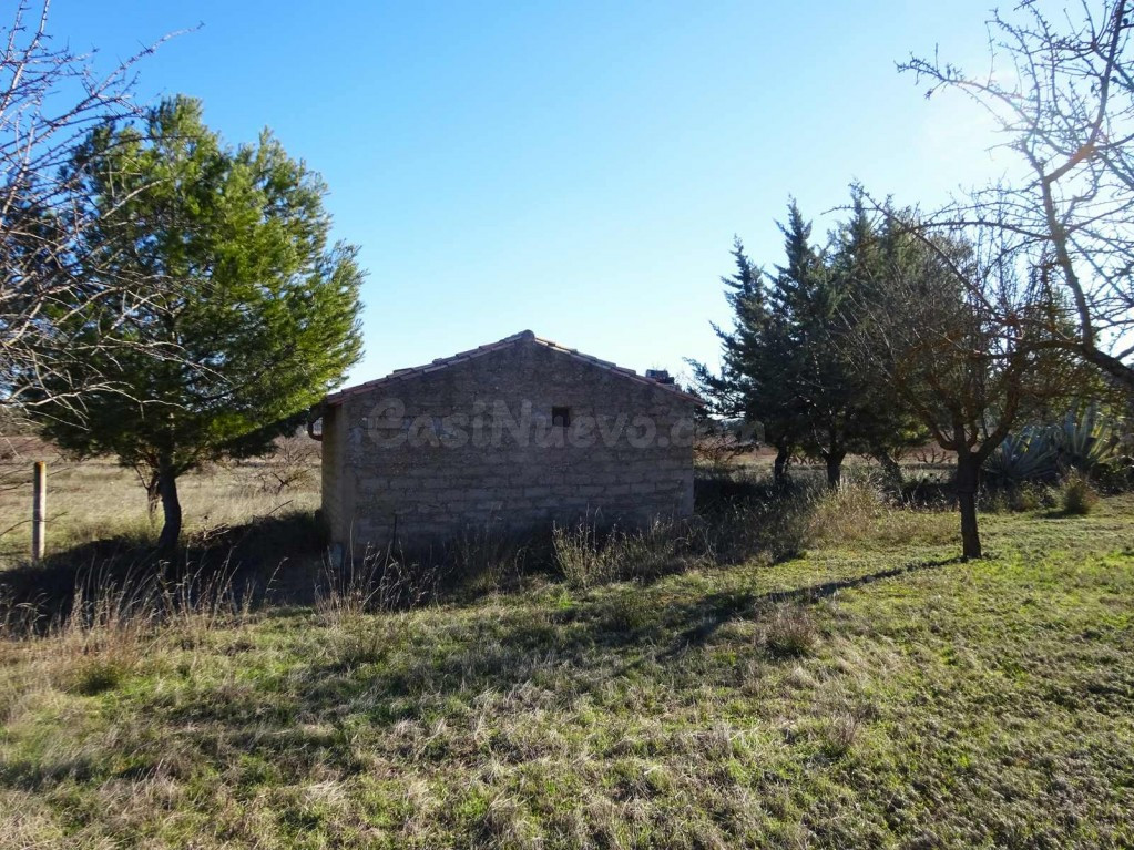 Suelo rústico en Venta en Maella Zaragoza - foto 5