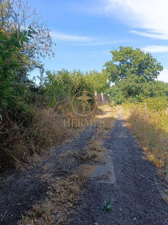 Se vende finca rustica a 1 km de Tui - foto 3