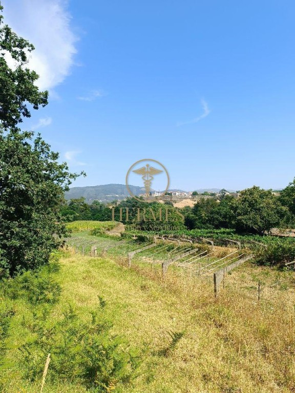 Se vende finca rustica a 1 km de Tui - foto 5