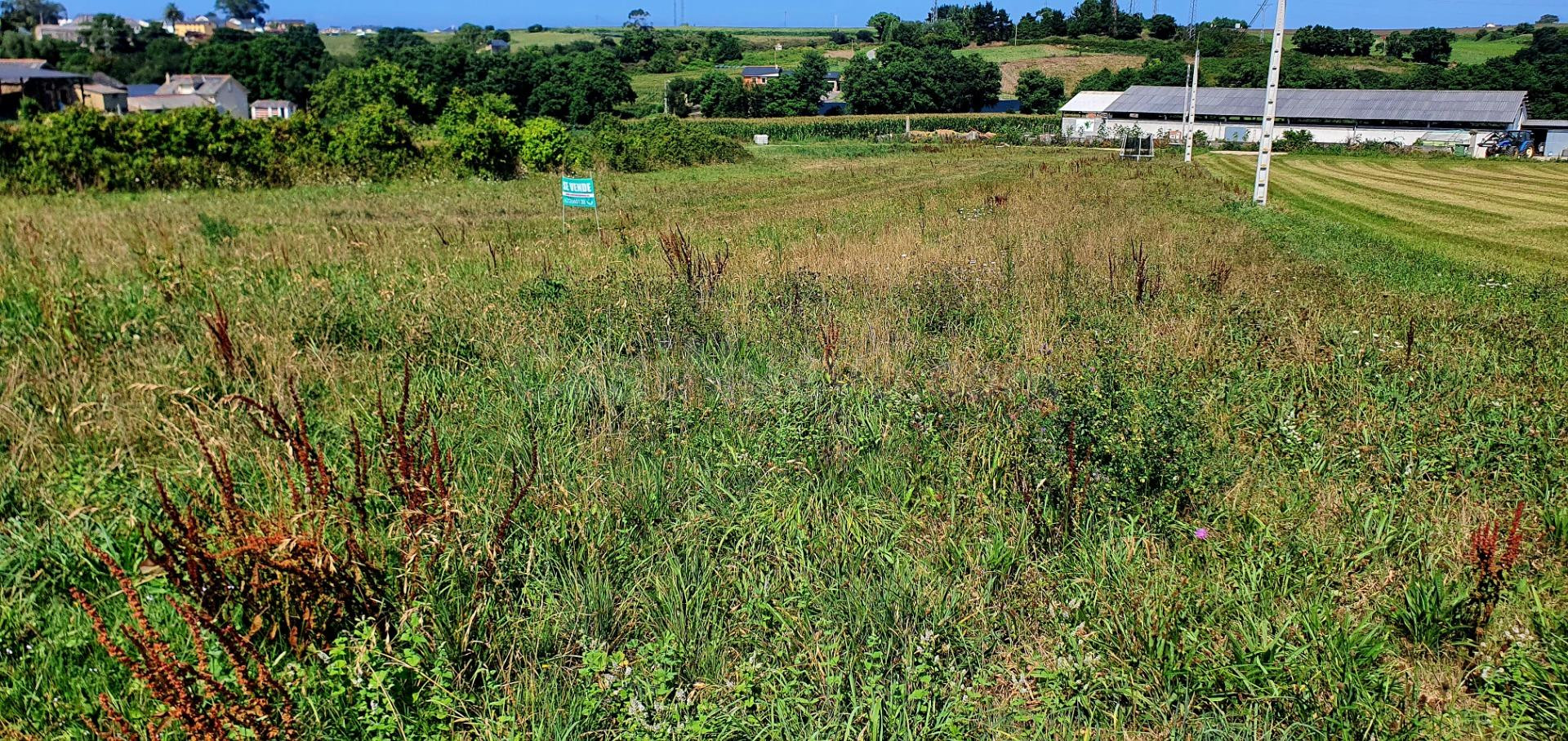 Parcela urbanizable de 1.500 m2 en Viacoba, Tapia de Casarie - foto 3