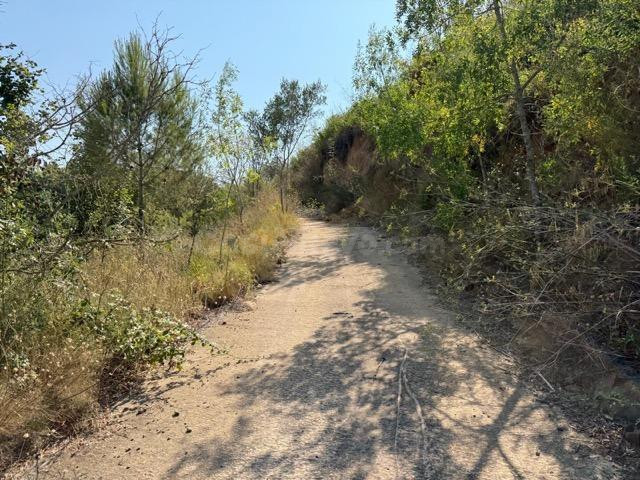 Solar en Castellvell del Camp – Les Planes del Puig - foto 2
