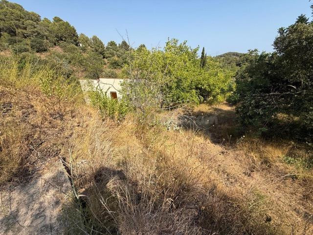 Solar en Castellvell del Camp – Les Planes del Puig - foto 5