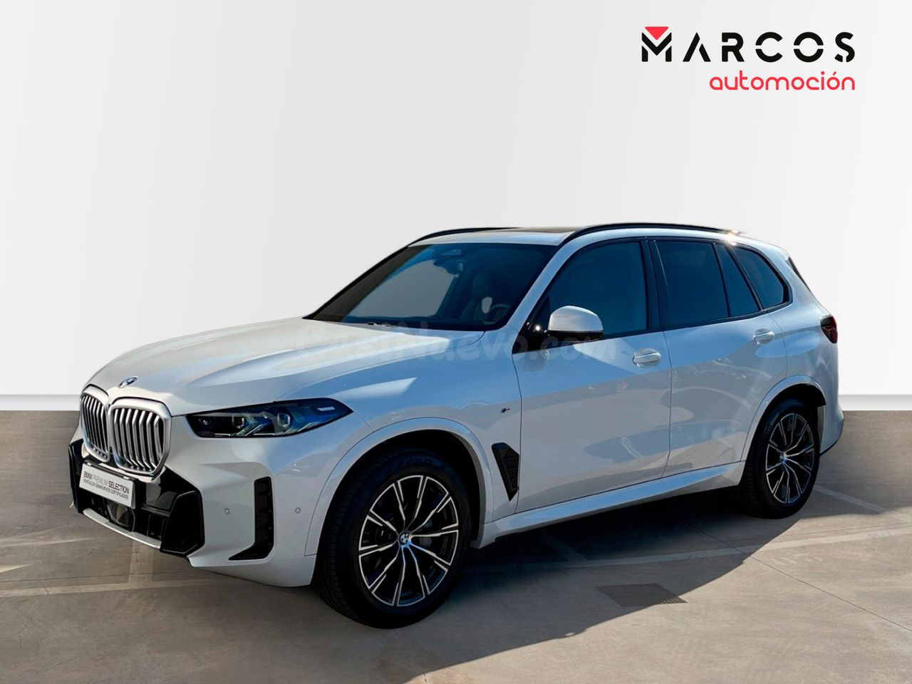 BMW X5 XDrive30d MHEV XLine en Orihuela - Ocasión Premium