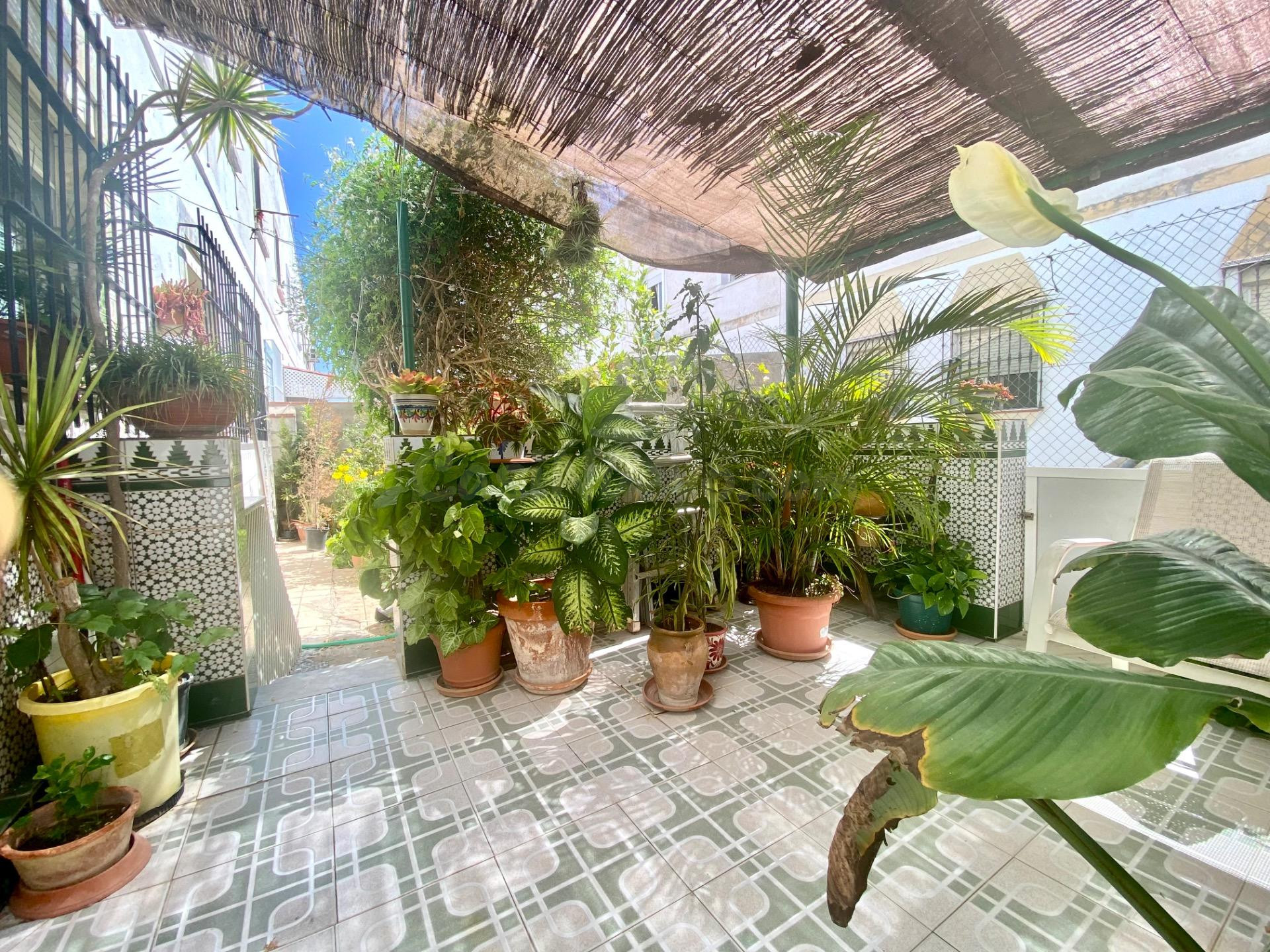 Vivienda amplia con patio-jardín, 5 habitaciones y trastero