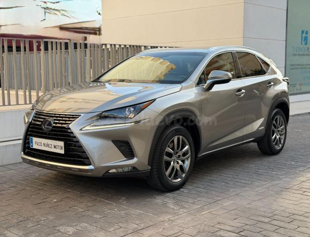 LEXUS - NX - 300h Business 2WD