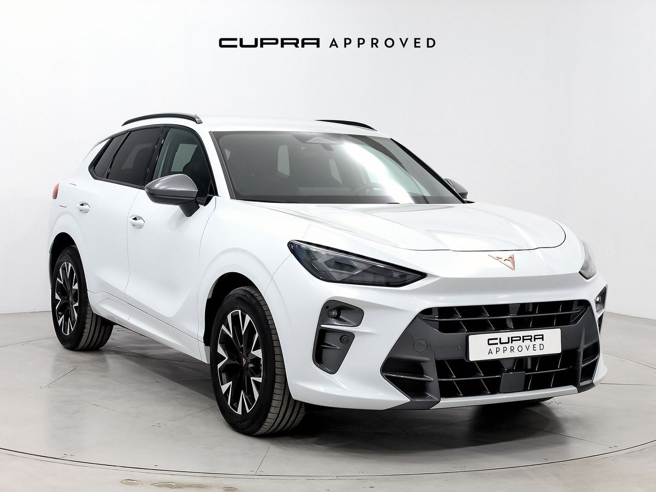 Cupra Terramar 1.5 PHEV 204 DSG 5P (EDGE PACK+GANCHO REMOLQUE)