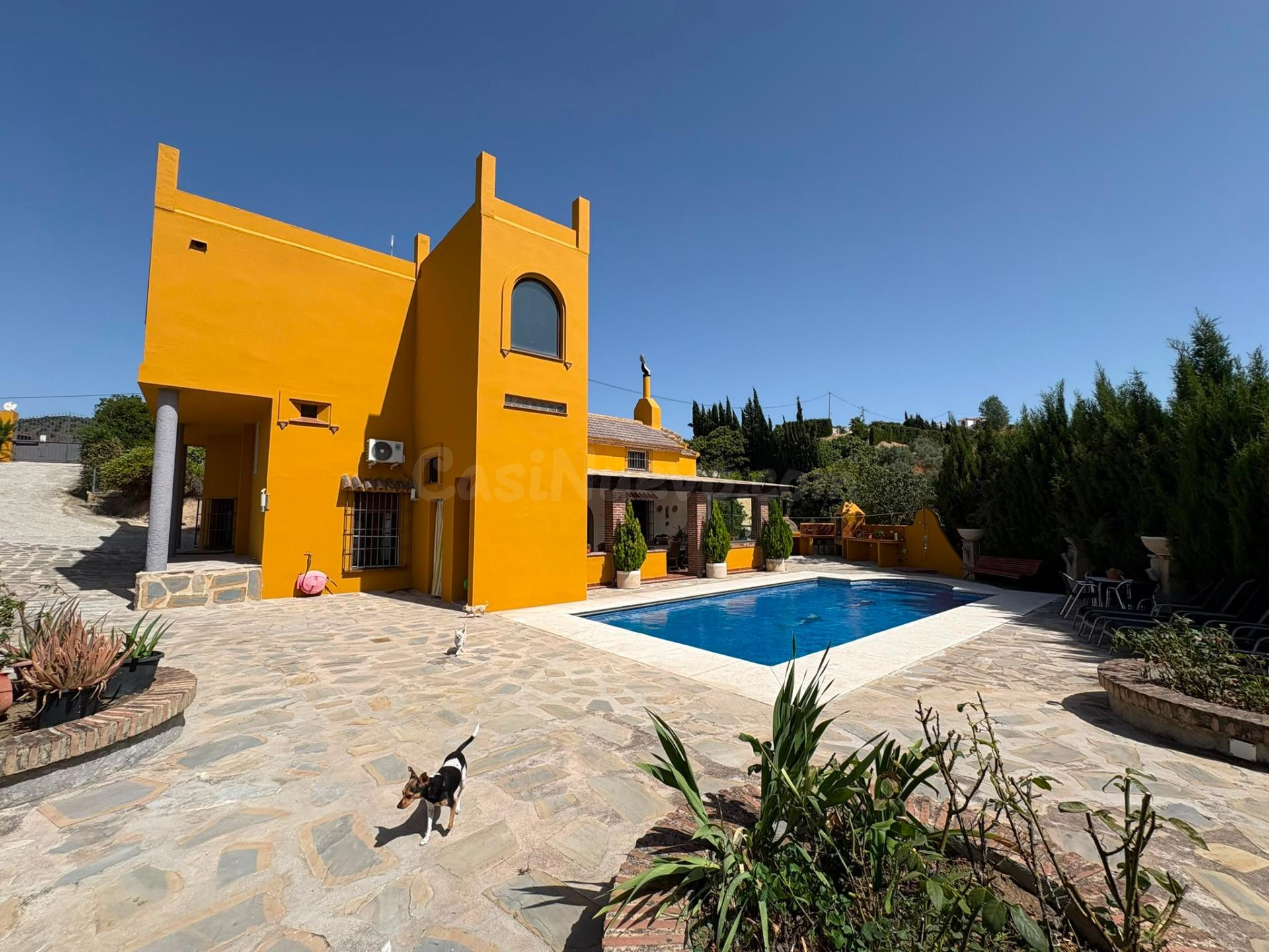 FINCA CON CASA EN VENTA OJEN - foto 3