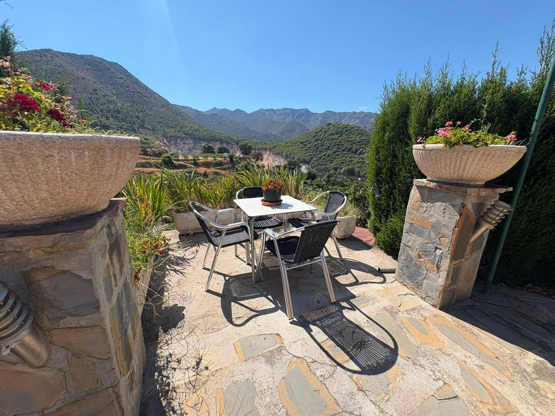 FINCA CON CASA EN VENTA OJEN - foto 4