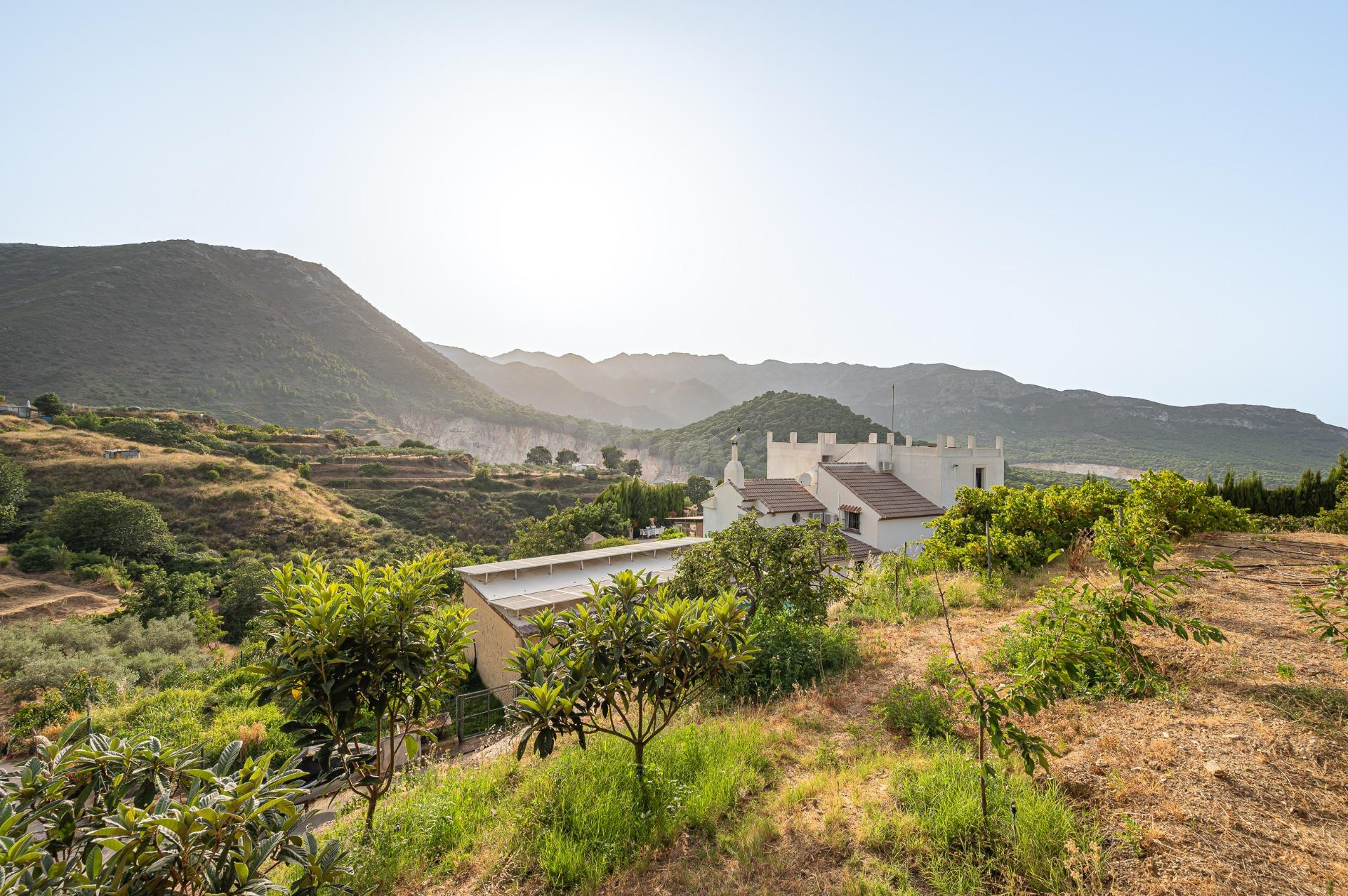 FINCA CON CASA EN VENTA OJEN - foto 5