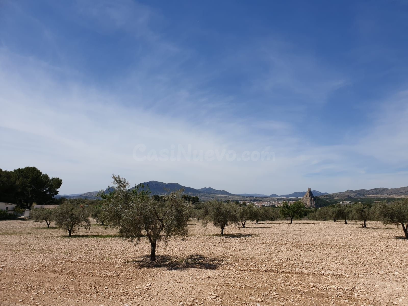 Parcela en venta - Comunidad valenciana