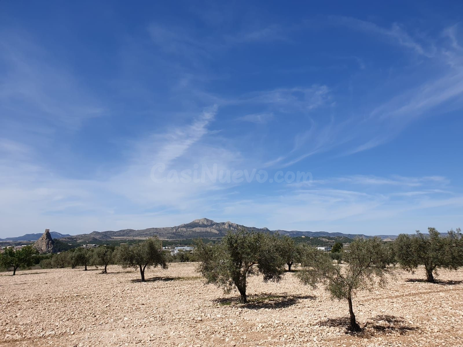 Parcela en venta - Comunidad valenciana - foto 3