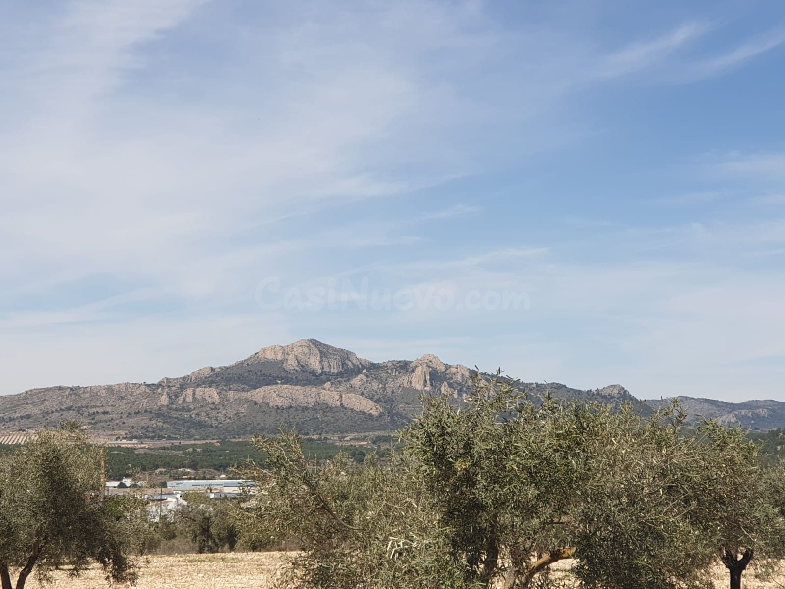 Parcela en venta - Comunidad valenciana - foto 4