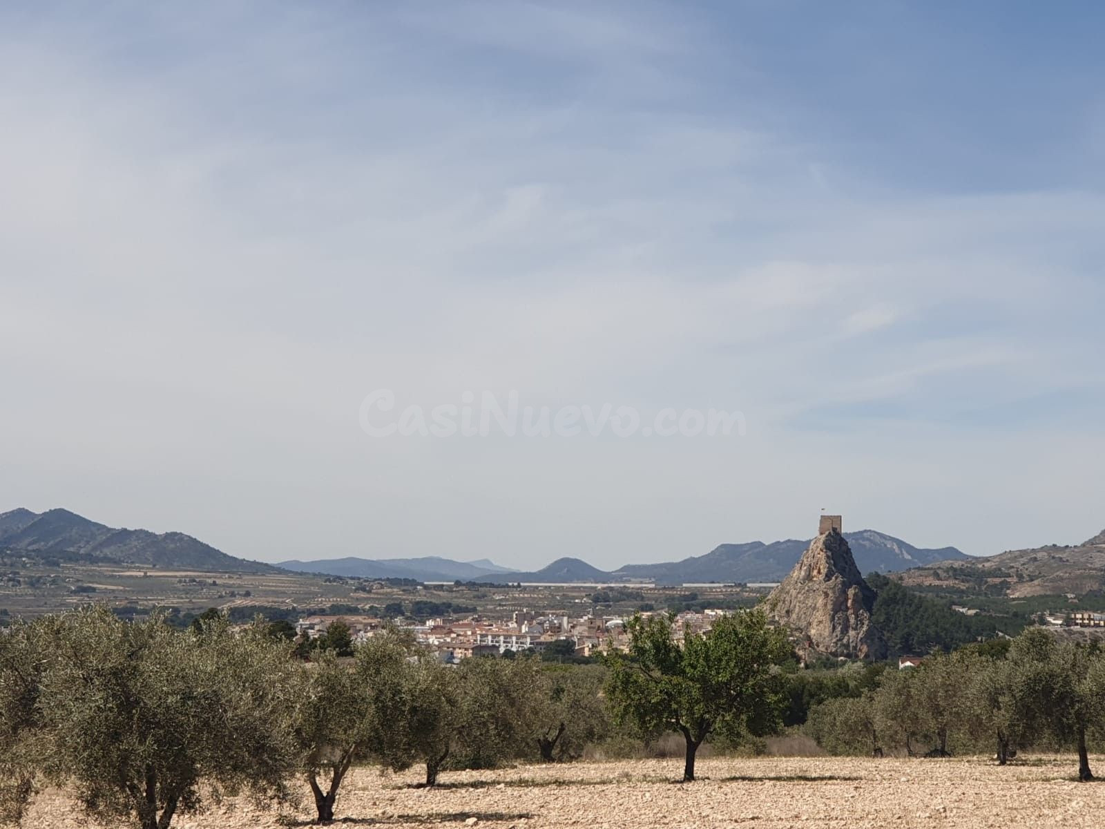 Parcela en venta - Comunidad valenciana - foto 5