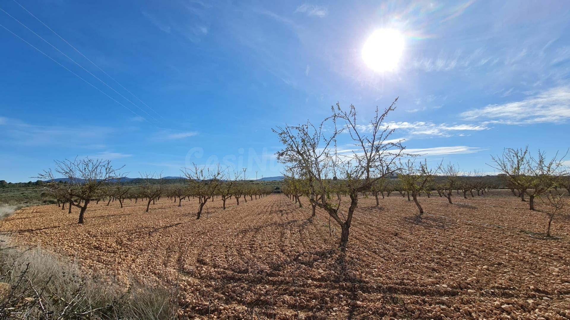 Parcela en venta - Comunidad valenciana